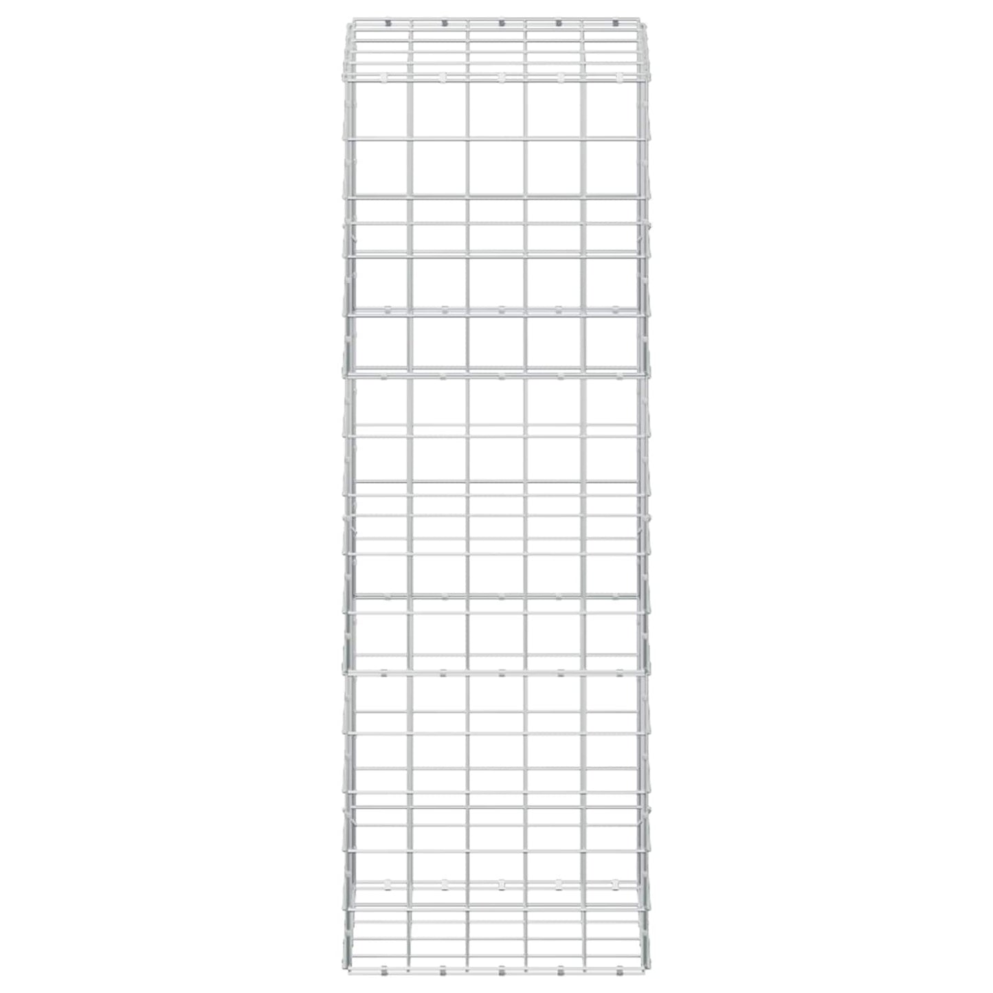 vidaXL Γκαμπιόν με σύρμα 5 mm και πλέγμα 10x10 cm 50x50x150 εκ
