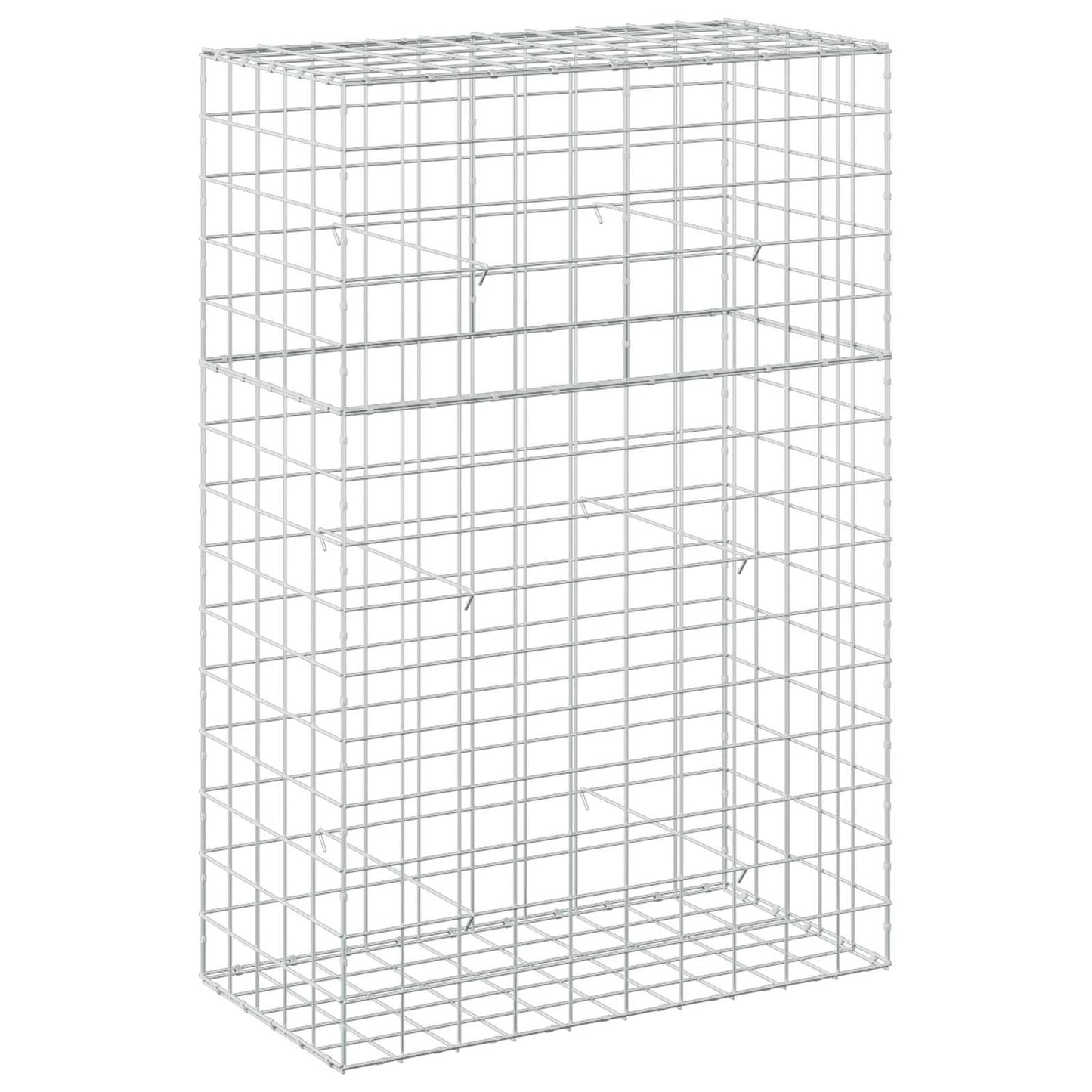vidaXL Γκαμπιόν με σύρμα 5 mm και πλέγμα 10x10 cm 100x50x150 εκ