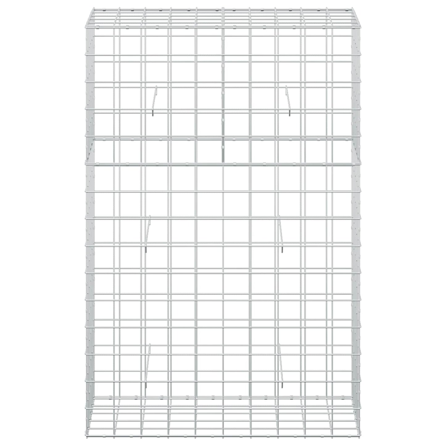 vidaXL Γκαμπιόν με σύρμα 5 mm και πλέγμα 10x10 cm 100x50x150 εκ