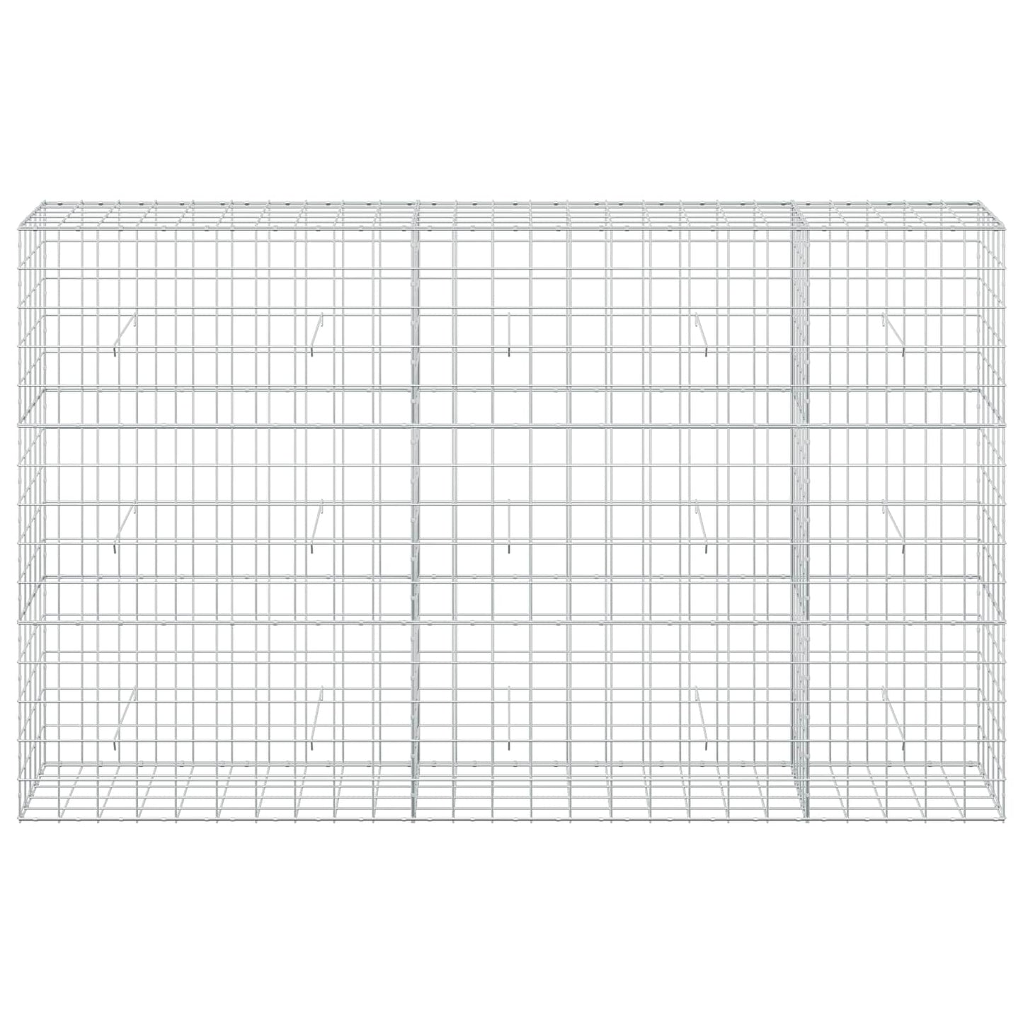 vidaXL Γκαμπιόν με σύρμα 5 mm και πλέγμα 10x10 cm 250x50x150 εκ