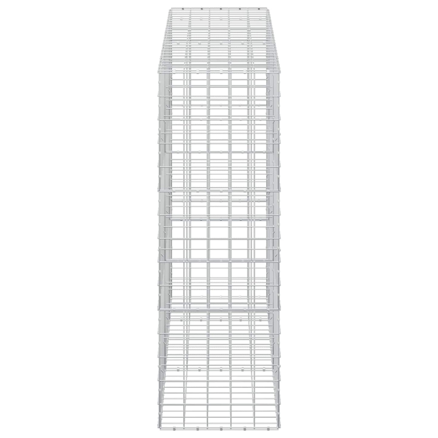 vidaXL Γκαμπιόν με σύρμα 5 mm και πλέγμα 10x10 cm 250x50x150 εκ