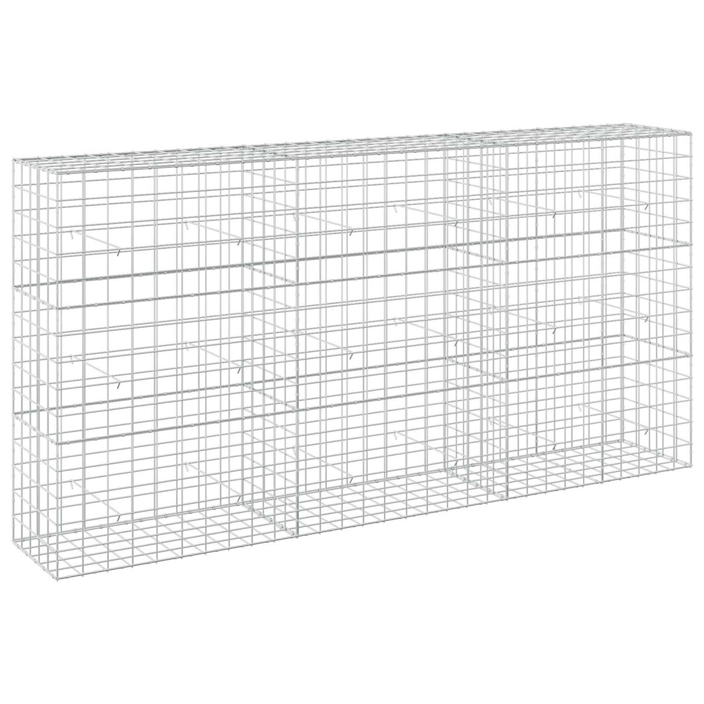vidaXL Γκαμπιόν με σύρμα 5 mm και πλέγμα 10x10 cm 300x50x150 εκ.