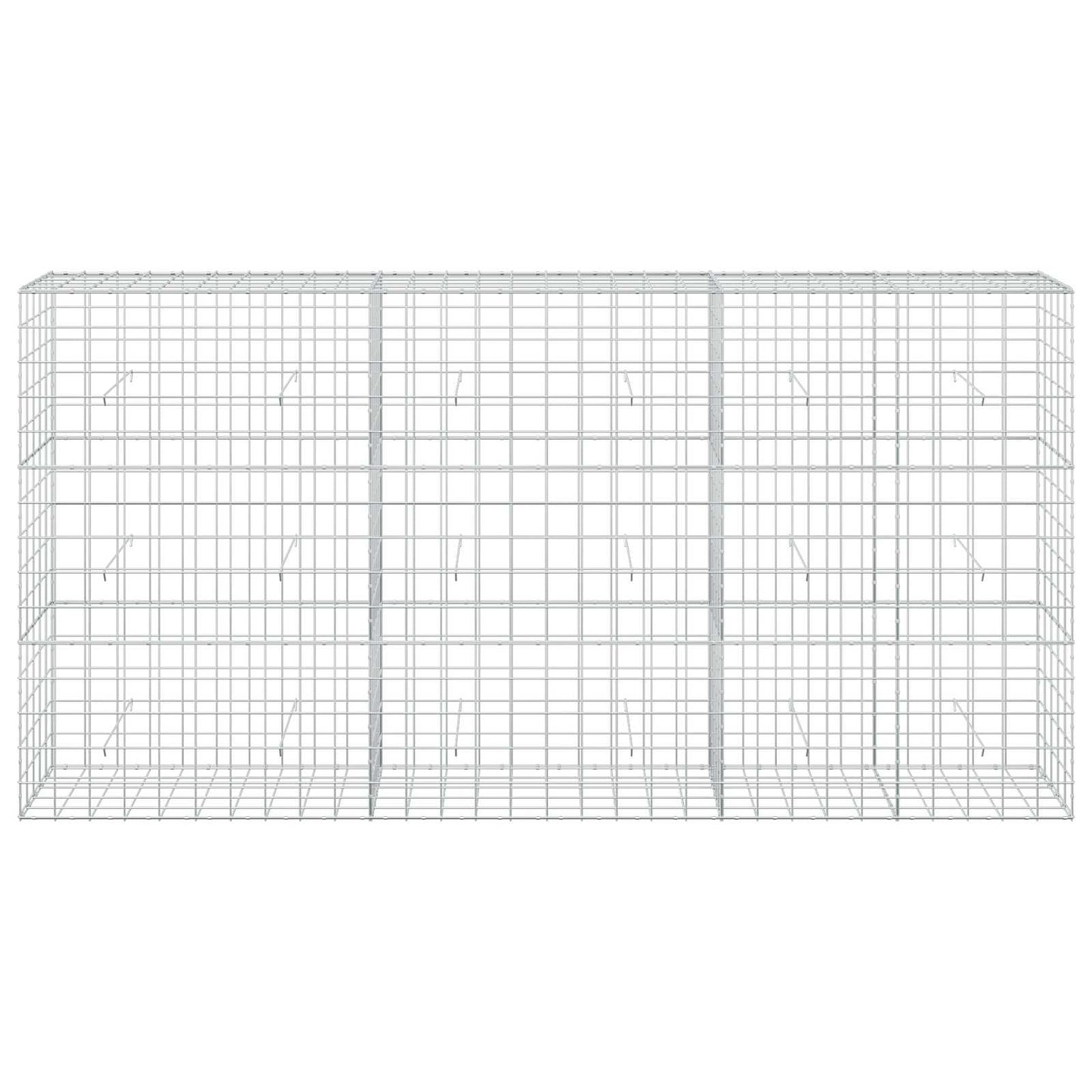 vidaXL Γκαμπιόν με σύρμα 5 mm και πλέγμα 10x10 cm 300x50x150 εκ.