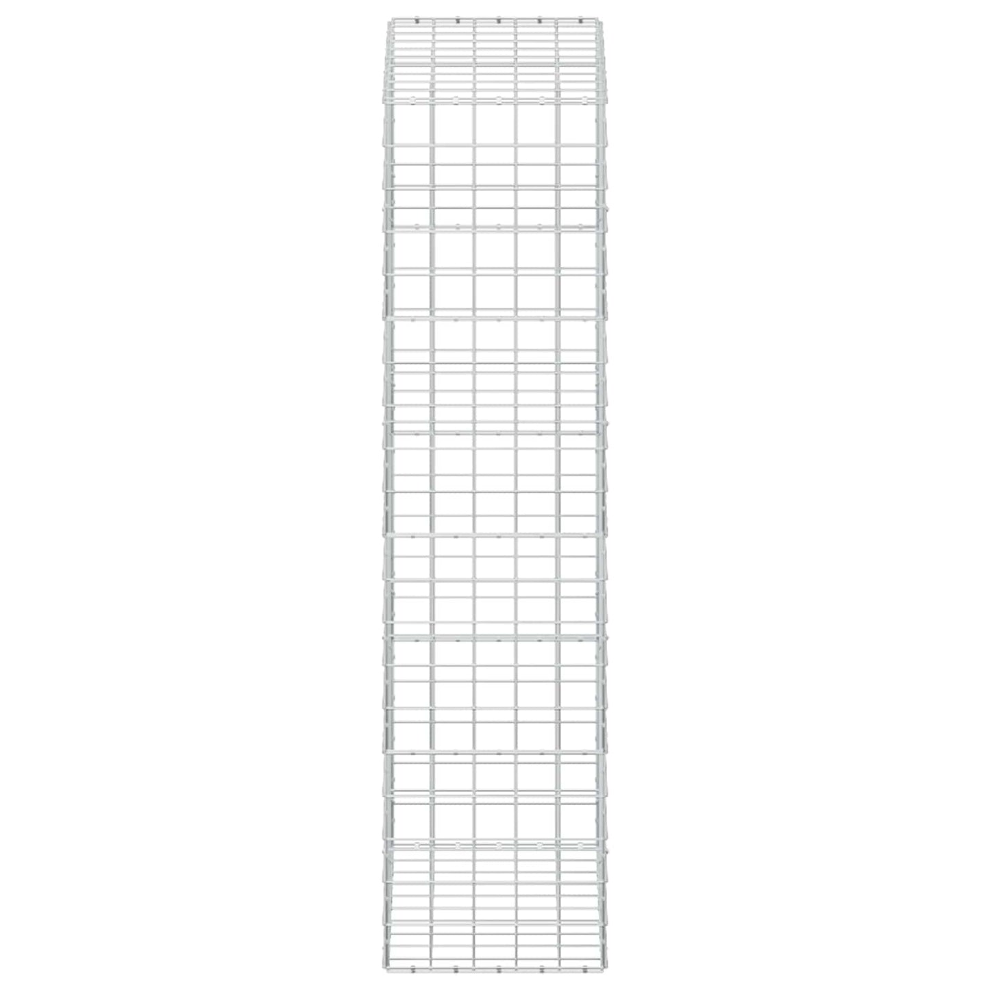 vidaXL Γκαμπιόν με σύρμα 5 mm και πλέγμα 10x10 cm 100x50x200 cm