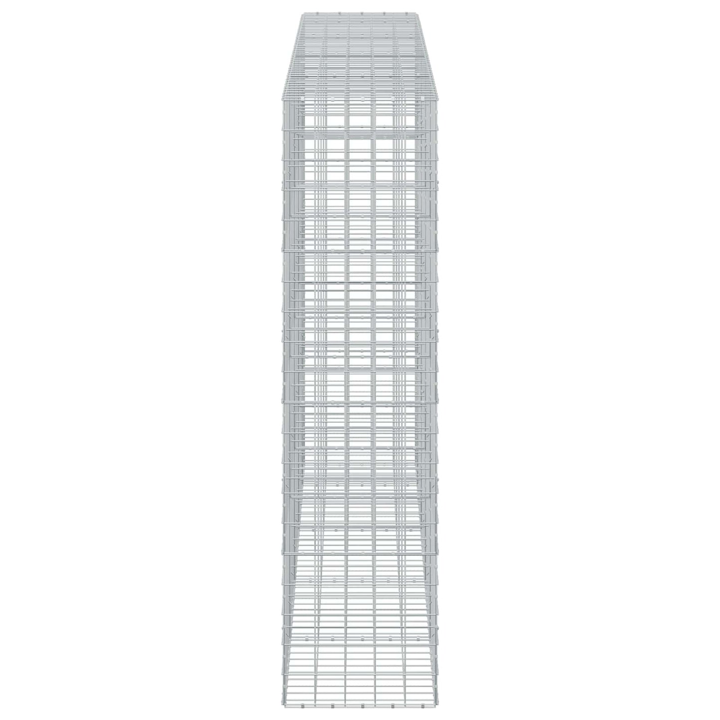 vidaXL Γκαμπιόν με σύρμα 5 mm και πλέγμα 10x10 cm 450x50x200 εκ