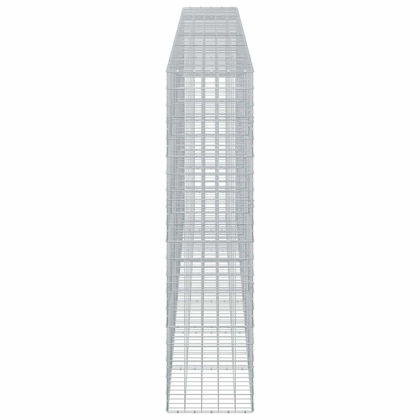 vidaXL Γκαμπιόν με σύρμα 5 mm και πλέγμα 10x10 cm 650x50x200 εκ