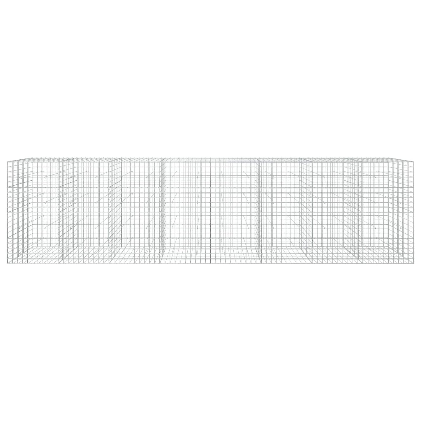 vidaXL Γκαμπιόν με σύρμα 5 mm και πλέγμα 10x10 cm 800x50x200 εκ