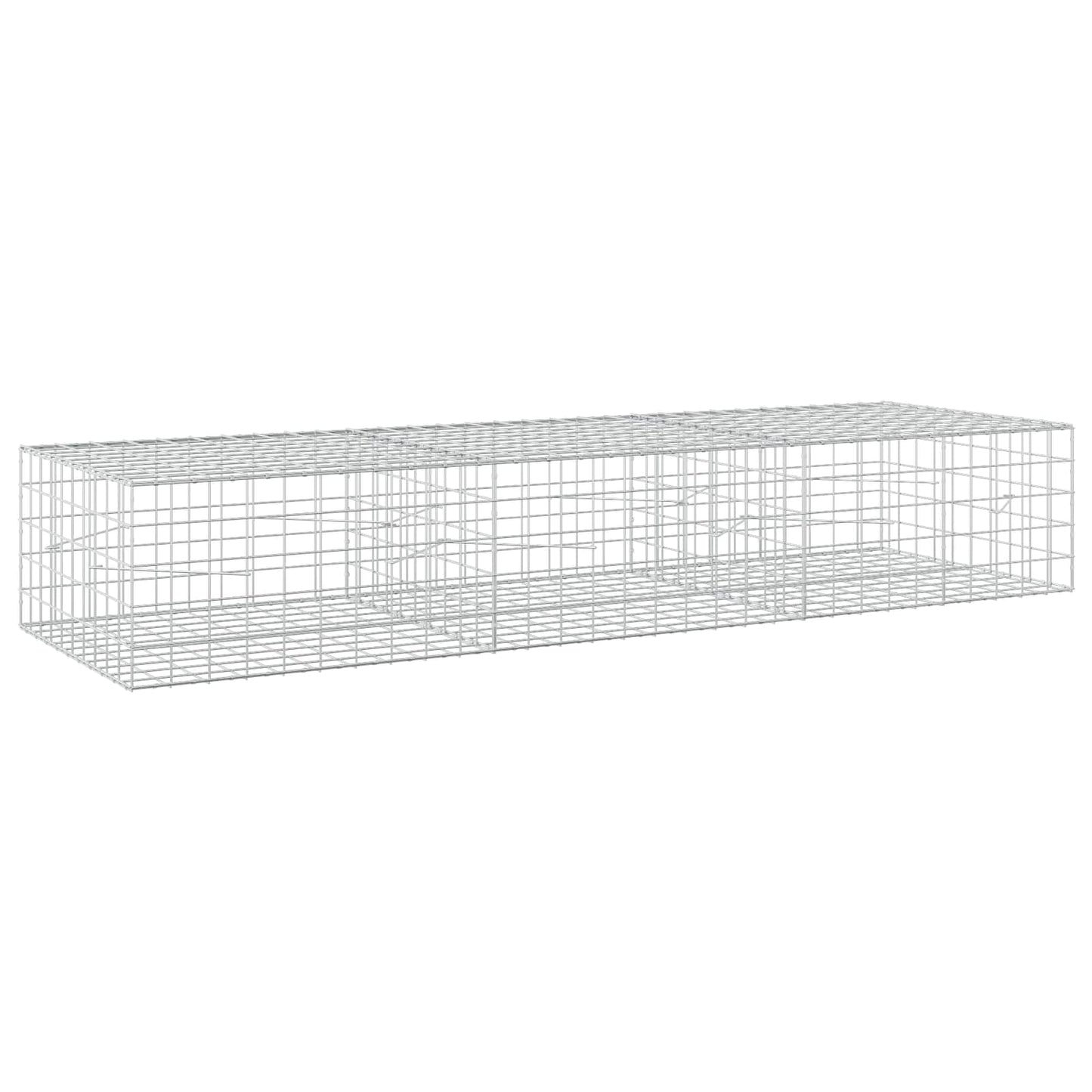 vidaXL Γκαμπιόν με σύρμα 5 mm και πλέγμα 10x10 cm 300x100x50 εκ