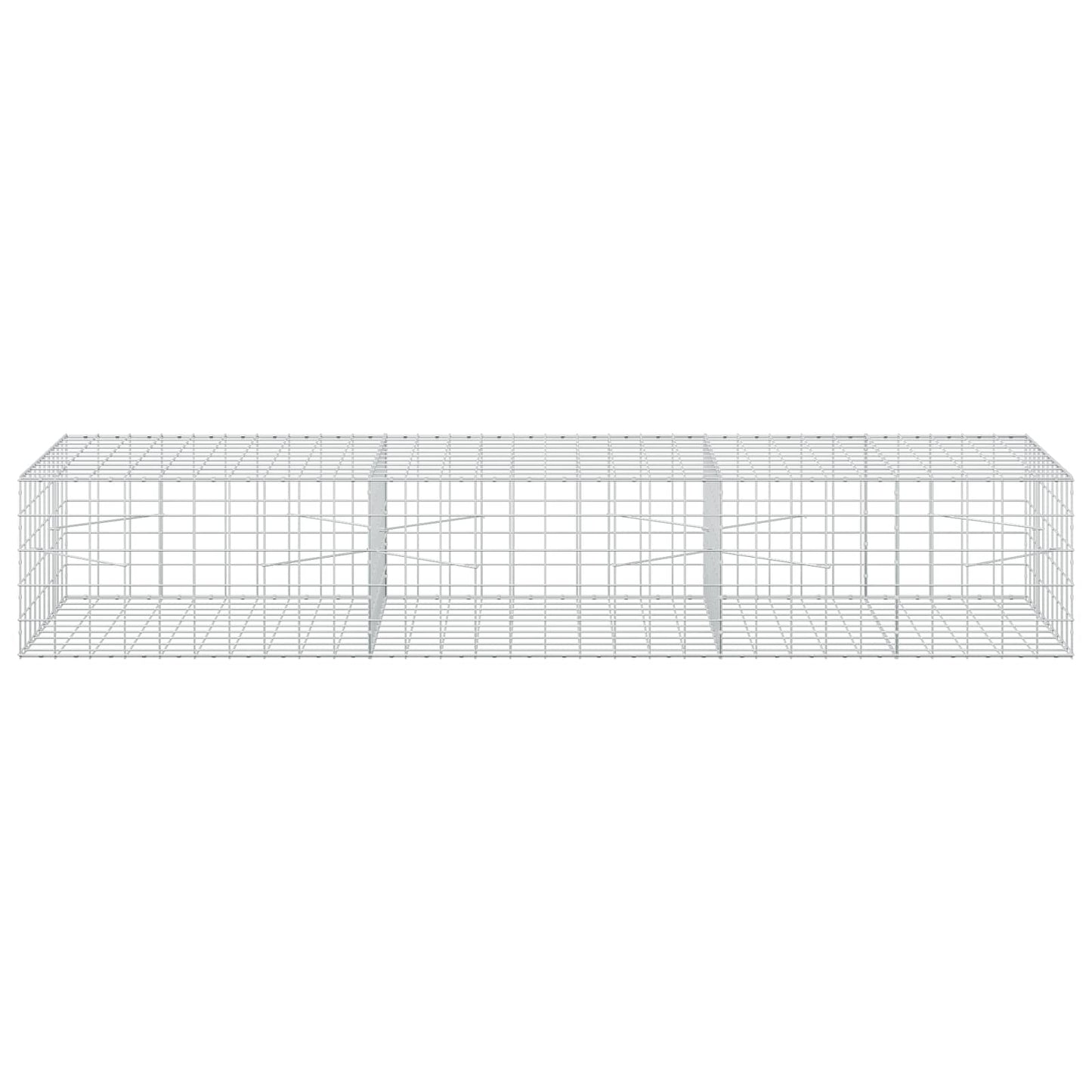 vidaXL Γκαμπιόν με σύρμα 5 mm και πλέγμα 10x10 cm 300x100x50 εκ