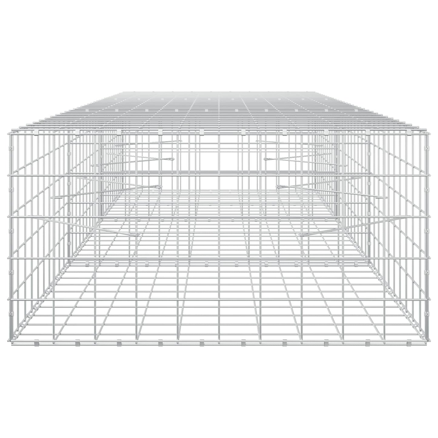 vidaXL Γκαμπιόν με σύρμα 5 mm και πλέγμα 10x10 cm 300x100x50 εκ