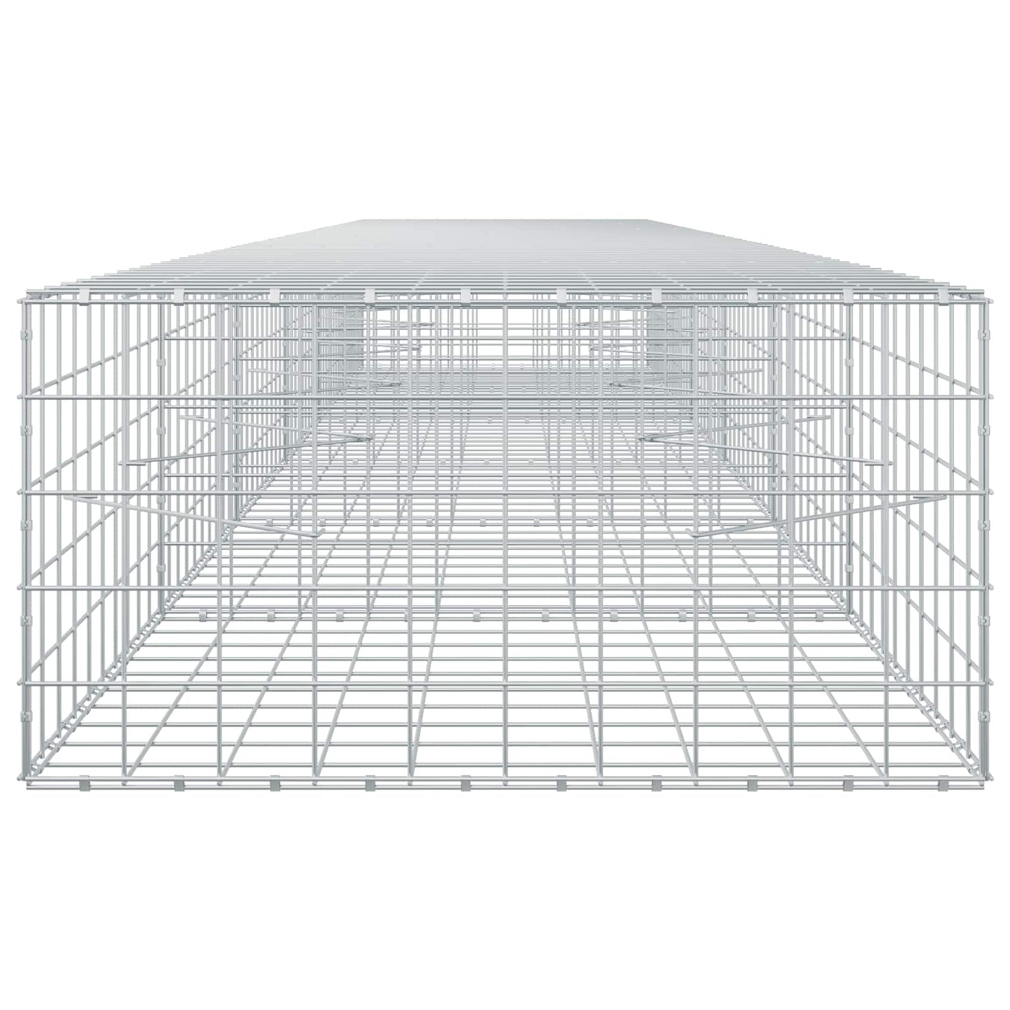 vidaXL Γκαμπιόν με σύρμα 5 mm και πλέγμα 10x10 cm 600x100x50 εκ.
