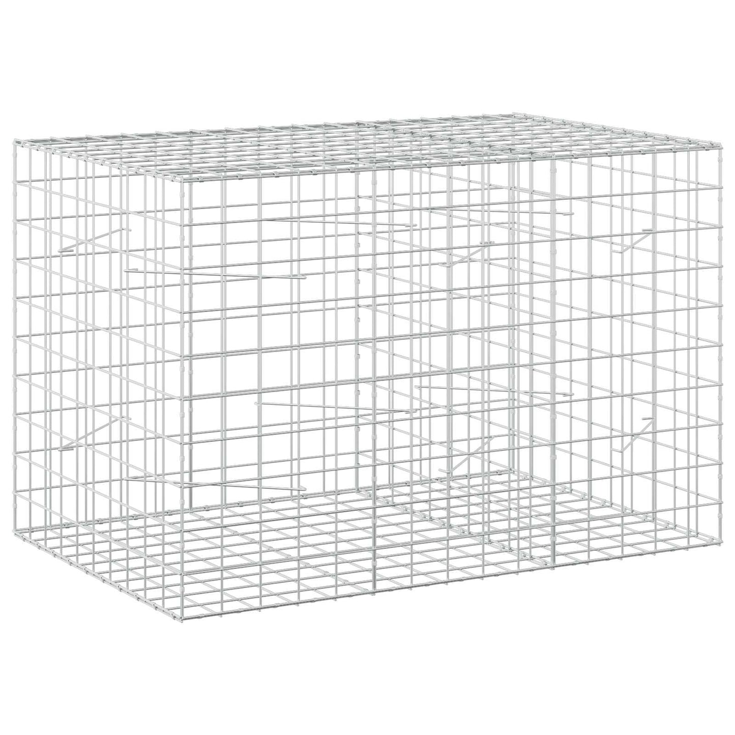 vidaXL Γκαμπιόν με σύρμα 5 mm και πλέγμα 10x10 cm 150x100x100 εκ.