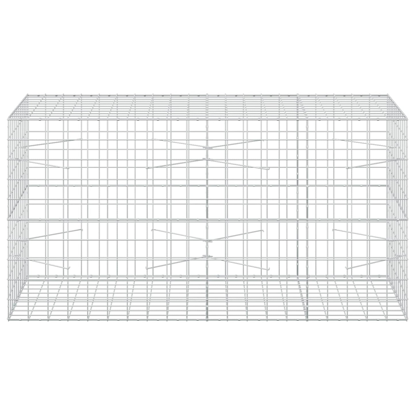 vidaXL Γκαμπιόν με σύρμα 5 mm και πλέγμα 10x10 cm 200x100x100 εκ.