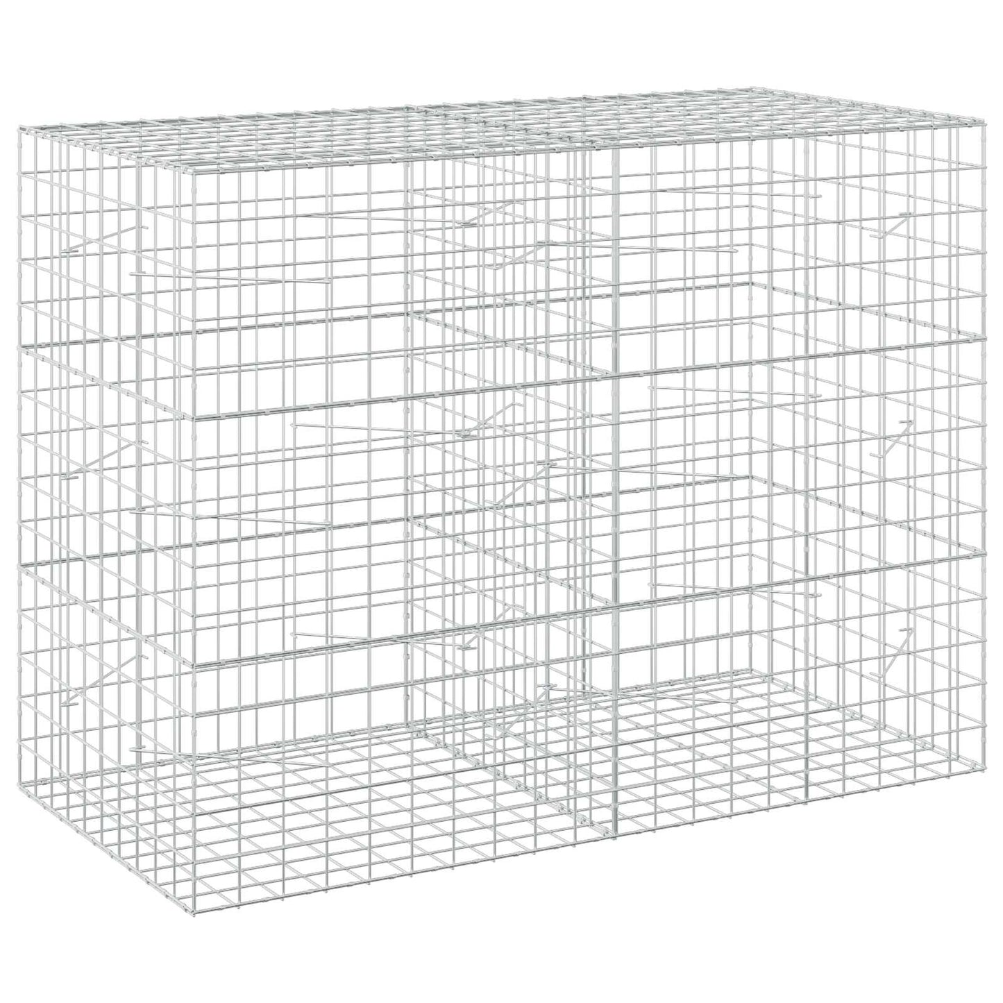 vidaXL Γκαμπιόν με σύρμα 5 mm και πλέγμα 10x10 cm 200x100x150 εκ.