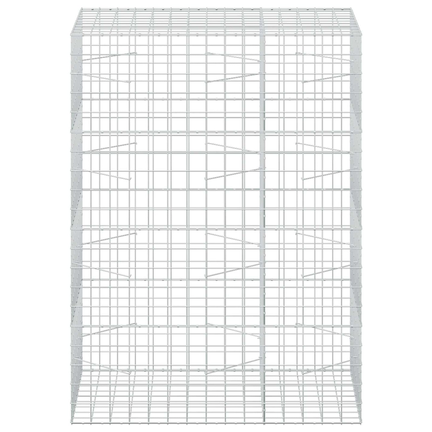 vidaXL Γκαμπιόν με σύρμα 5 mm και πλέγμα 10x10 cm 150x100x200 εκ.