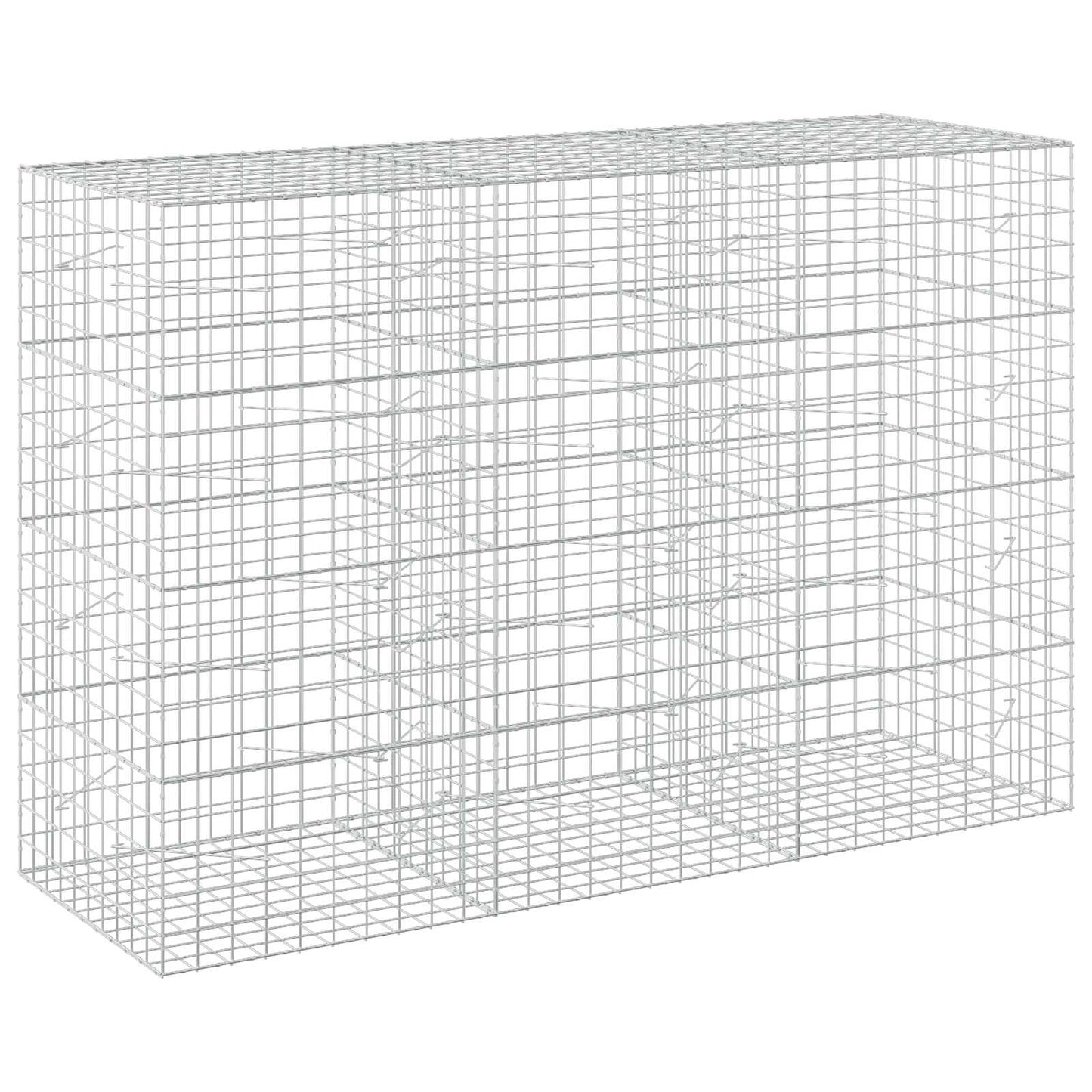 vidaXL Γκαμπιόν με σύρμα 5 mm και πλέγμα 10x10 cm 300x100x200 εκ