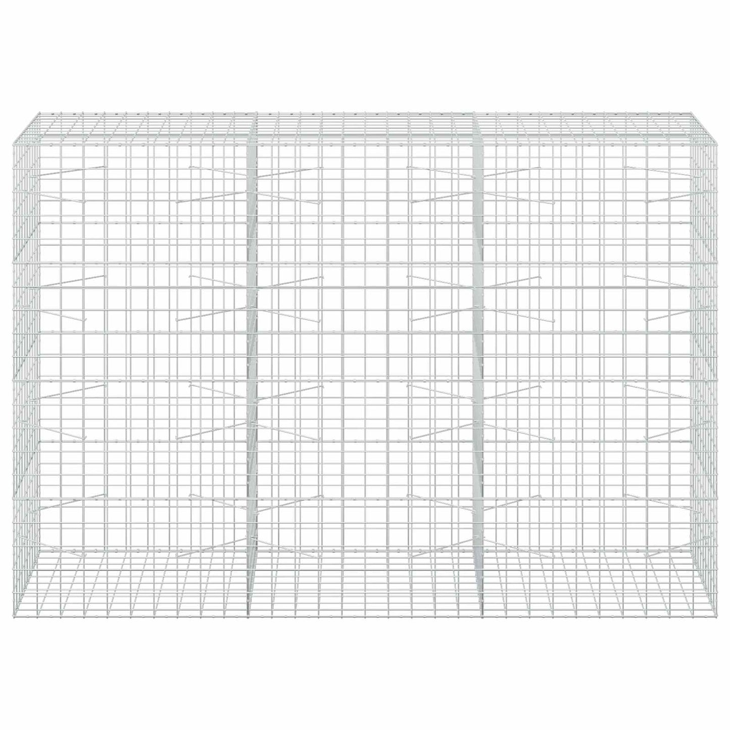 vidaXL Γκαμπιόν με σύρμα 5 mm και πλέγμα 10x10 cm 300x100x200 εκ