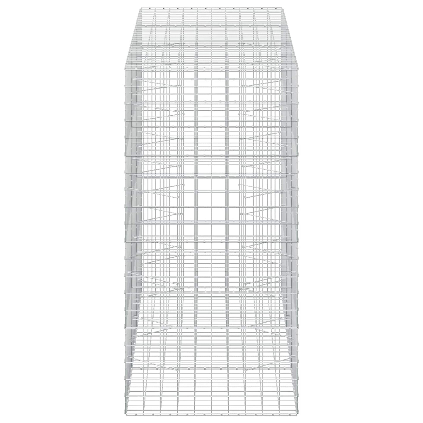 vidaXL Γκαμπιόν με σύρμα 5 mm και πλέγμα 10x10 cm 300x100x200 εκ