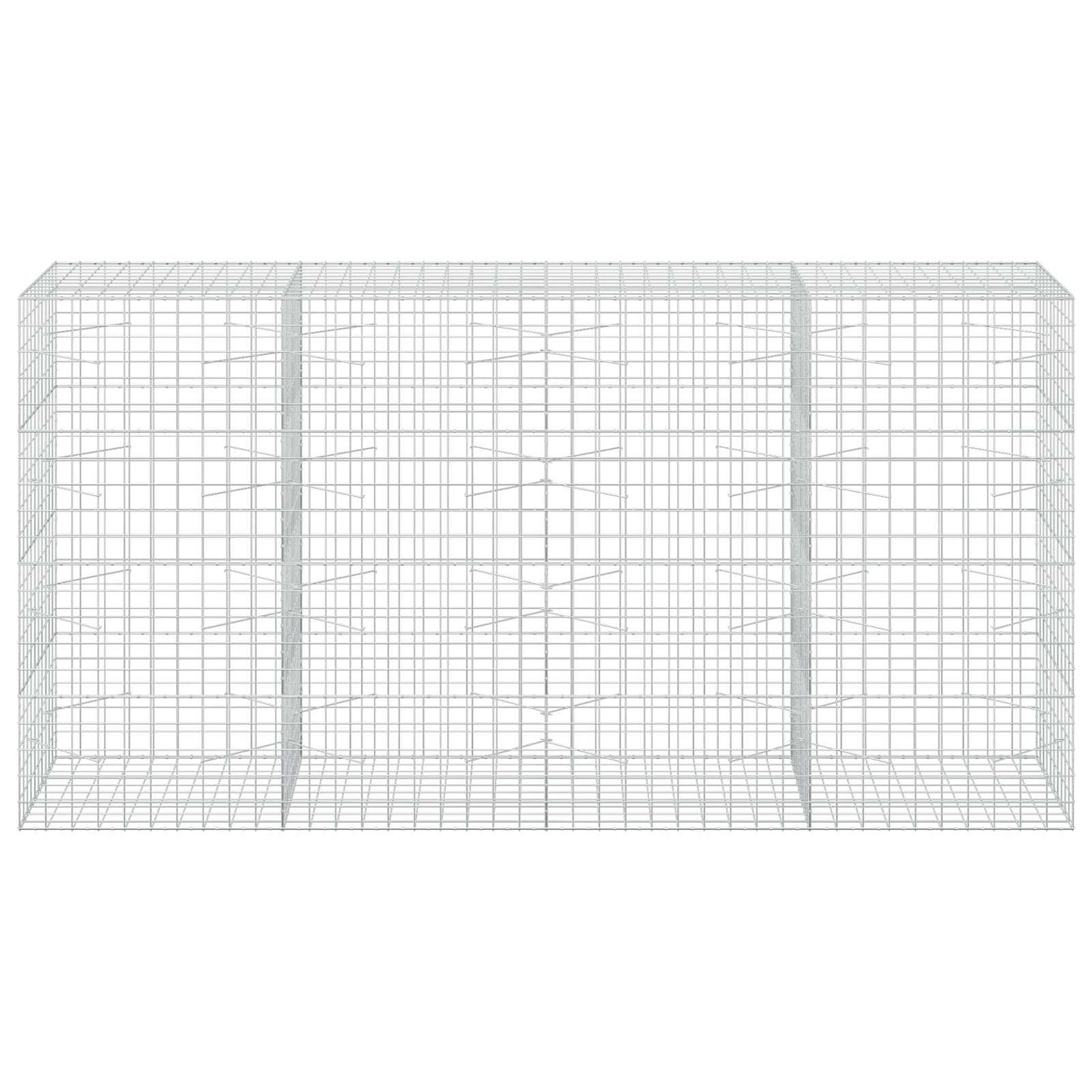 vidaXL Γκαμπιόν με σύρμα 5 mm και πλέγμα 10x10 cm 400x100x200 εκ
