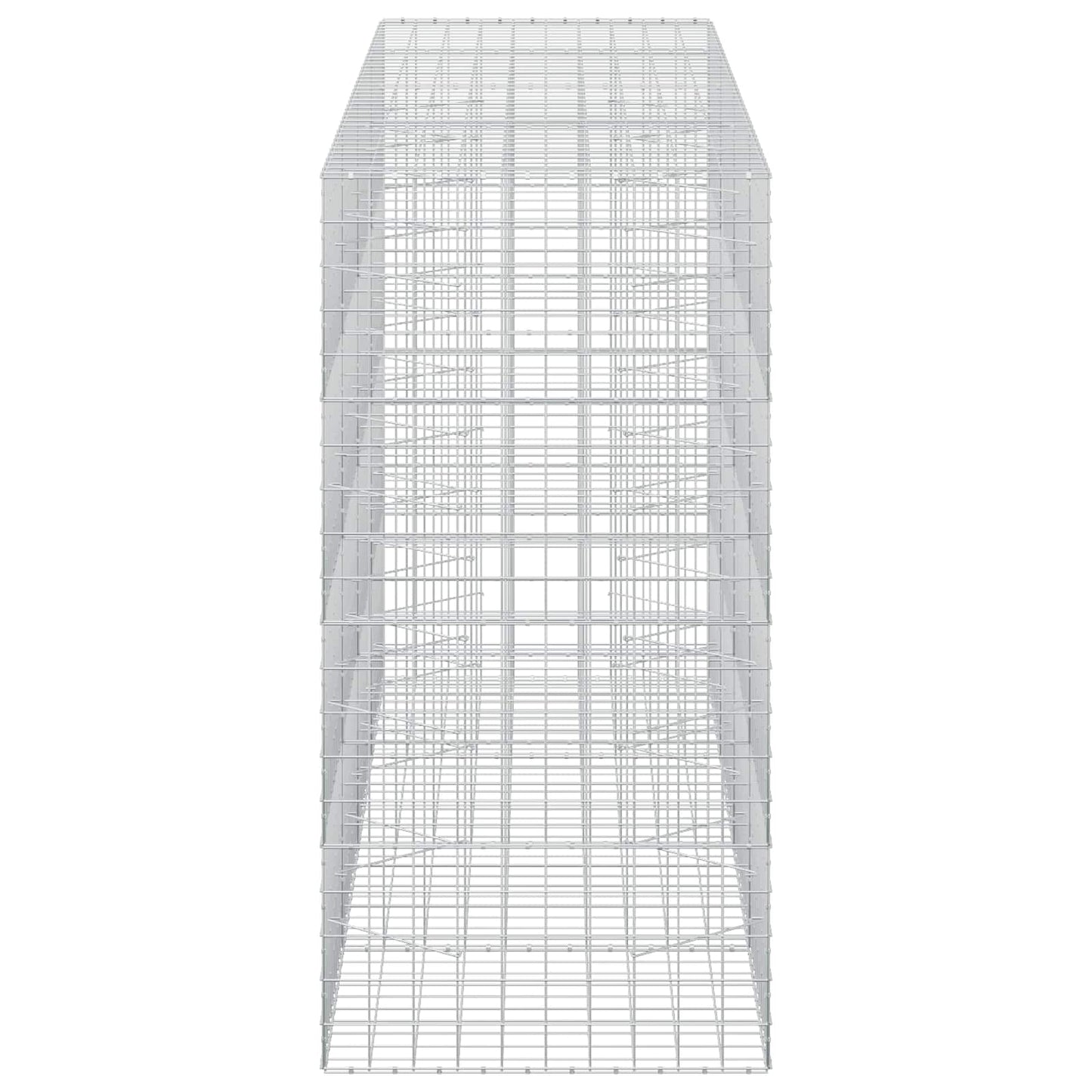 vidaXL Γκαμπιόν με σύρμα 5 mm και πλέγμα 10x10 cm 400x100x200 εκ