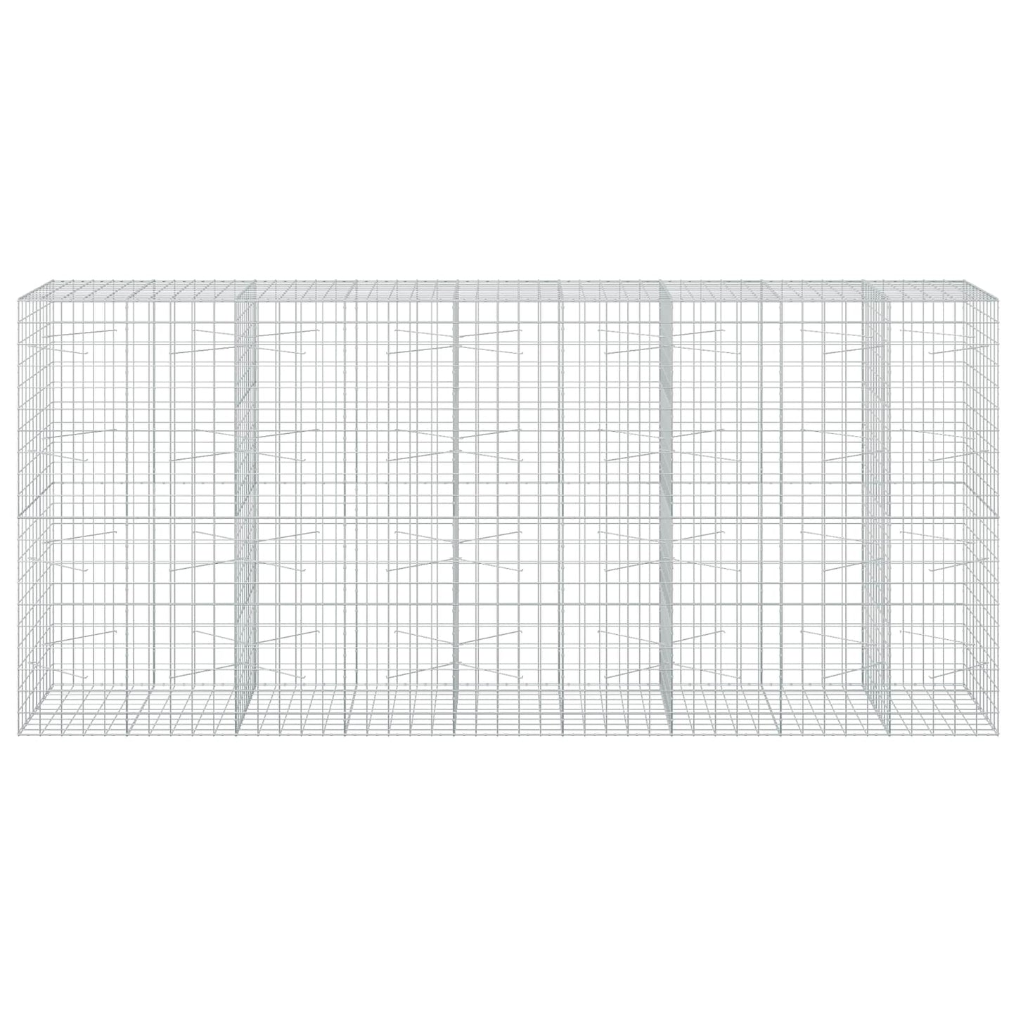 vidaXL Γκαμπιόν με σύρμα 5 mm και πλέγμα 10x10 cm 450x100x200 εκ