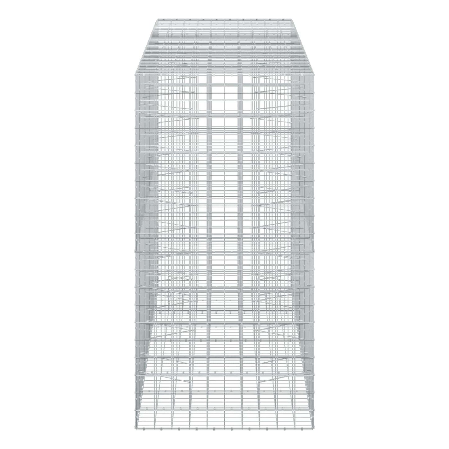 vidaXL Γκαμπιόν με σύρμα 5 mm και πλέγμα 10x10 cm 450x100x200 εκ