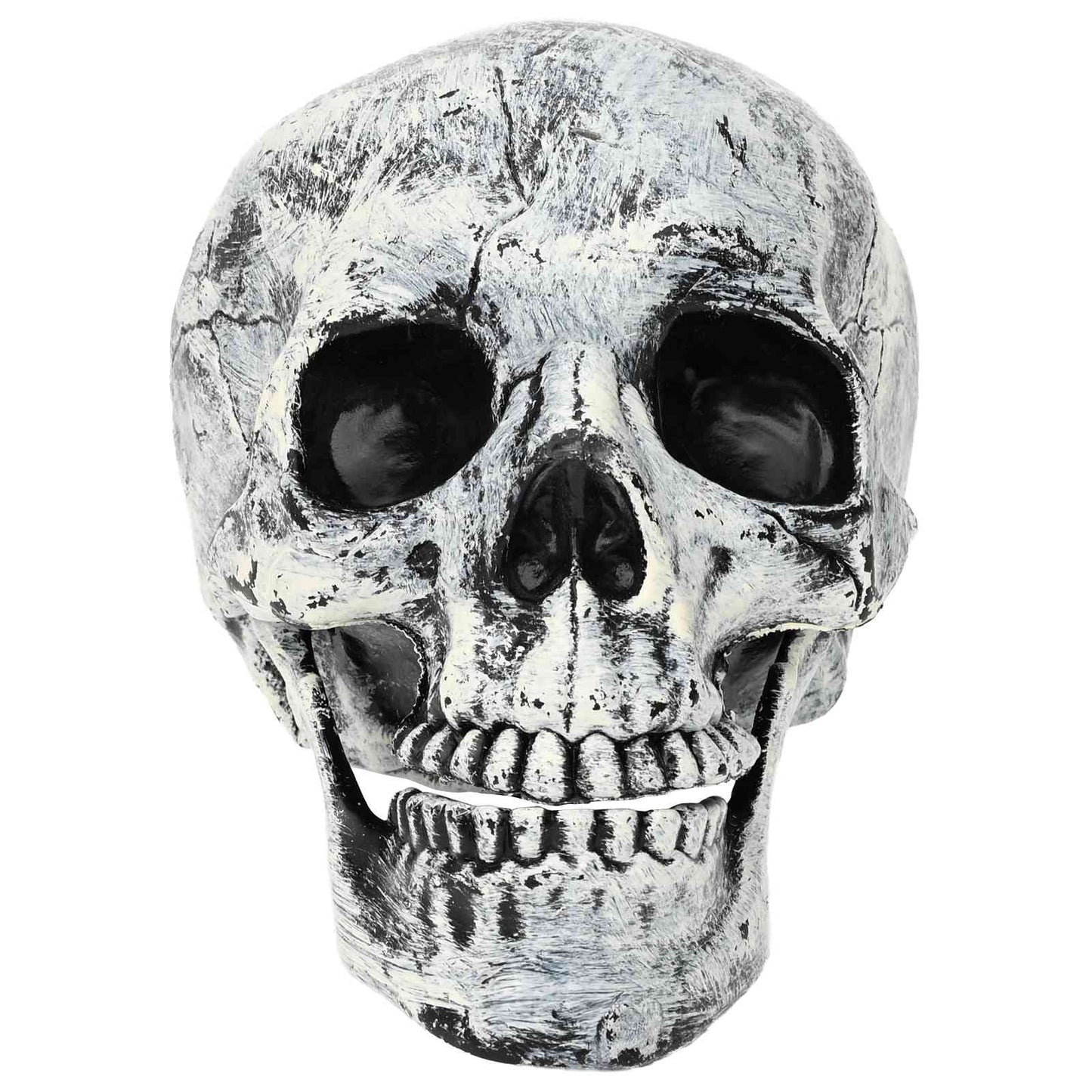 vidaXL Νεκροκεφαλή Halloween SPOOKA 2 τμχ. Λευκό 12 x 15 x 17,5 εκ.